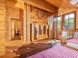 To Salamander No. 15a