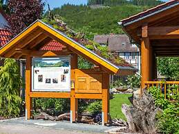 To Salamander No. 15a