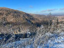 To Salamander No. 15a