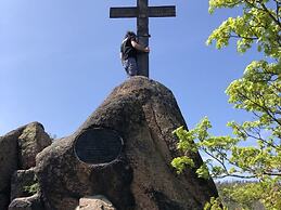 To Salamander No. 15a