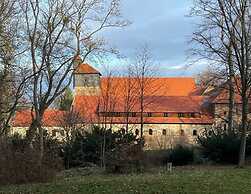 To Salamander No. 15a