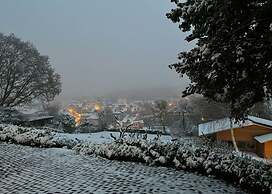 To Salamander No. 15a