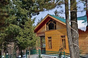 The FrozenFall Resort - Gulmarg