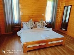 The FrozenFall Resort - Gulmarg