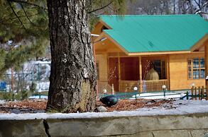 The FrozenFall Resort - Gulmarg