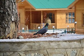 The FrozenFall Resort - Gulmarg