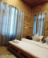 The FrozenFall Resort - Gulmarg