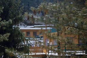 The FrozenFall Resort - Gulmarg