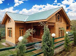 The FrozenFall Resort - Gulmarg