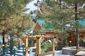 The FrozenFall Resort - Gulmarg