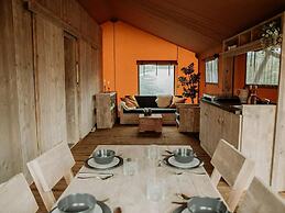 Tent With Shower and Kitchen, on a Pop-up Campsite