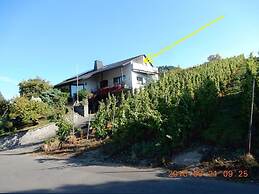 Holiday Apartment Moselle Panorama