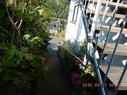 Holiday Apartment Moselle Panorama