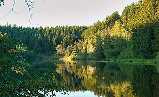 Find Your Holiday Home in the Harz Mountains