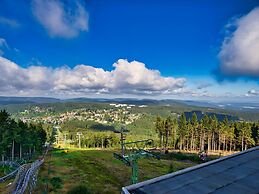 Tranquil Apartment in Goslar - Bockswiese