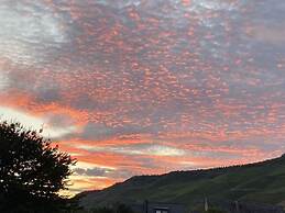 Uitzicht op de Wijngaard