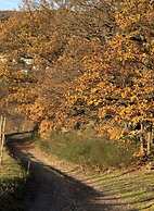 Uitzicht op de Wijngaard