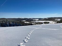 Uitzicht op de Bergen