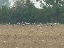 Holiday Apartment Eulenspiegel