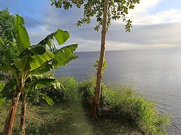 CLEMARA EVASION