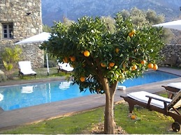 Holiday Home Bomorto