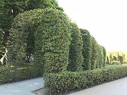 Villa Granitz Apartment