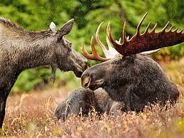 8 Person Holiday Home in Burea-by Traum