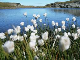 Child-friendly Apartment With Sauna