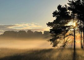 Comfort Stay With Sauna