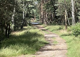 Comfort Stay With Sauna