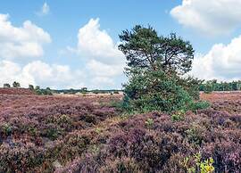 Comfort Stay With Sauna