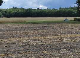 Comfort Stay With Sauna