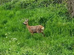 Kommodig Utkiek Modern Retreat