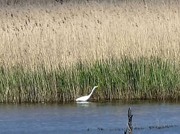 Kommodig Utkiek Modern Retreat