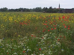 Kommodig Utkiek Modern Retreat