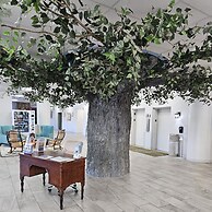 Grand Smokies Resort Lodge