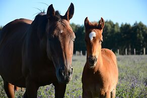 Estancia La Violeta