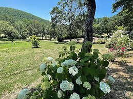 The Life of an Aristocrat on a Country Estate Stay in the Mansion Slee