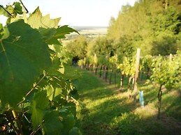 Kellerstockl am Hamerlberg/strem