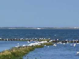 Dinkla 1 Comfortable Holiday Residence