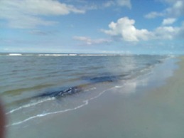 Dinkla 1 Comfortable Holiday Residence