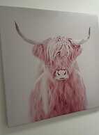 Pink Cow Modern Retreat