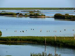 Frisian House by the sea