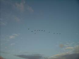 Frisian House by the sea