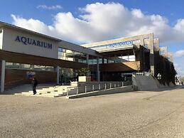 Exclusive Yacht With a Roof Terrace