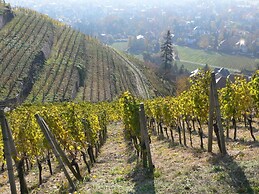 Nice Apartment in Radebeul