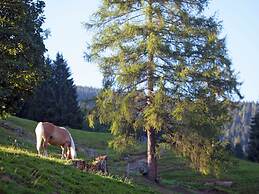 Apartment in Salzburger Land With Balcony