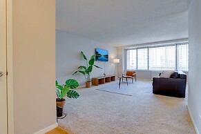 Beautiful & Spacious Apt in Crystal City
