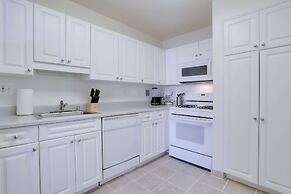 Beautiful & Spacious Apt in Crystal City