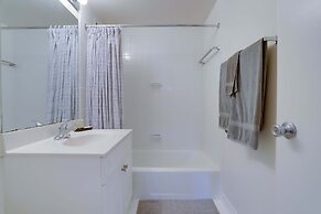 Beautiful & Spacious Apt in Crystal City